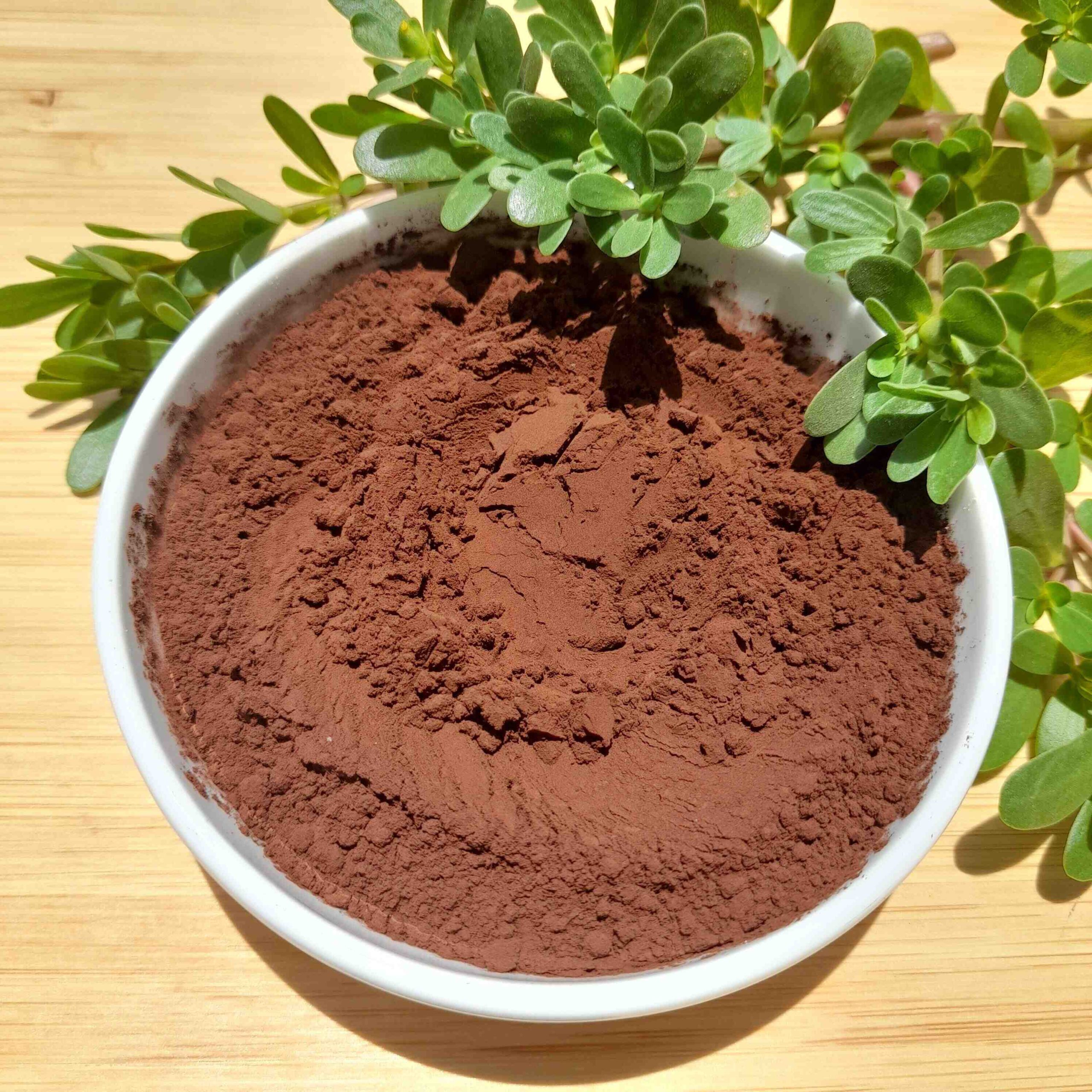 پودر کاکائو اسنوا ترک 100 گرمی